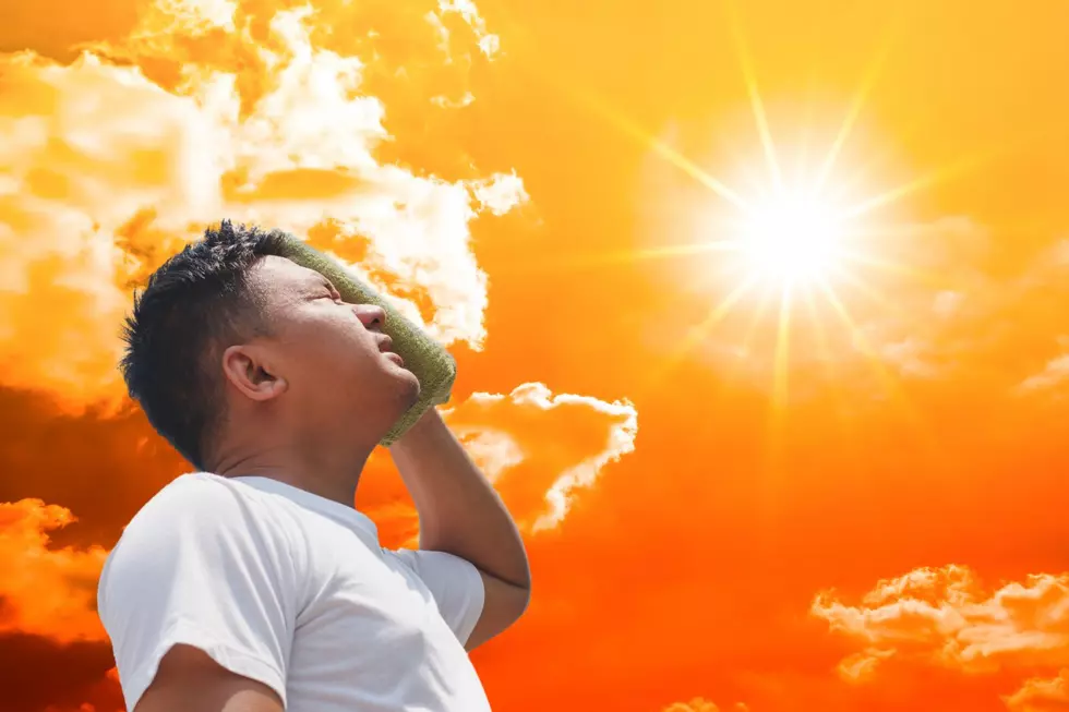 The Science Behind Why Michiganders Melt in the Heat