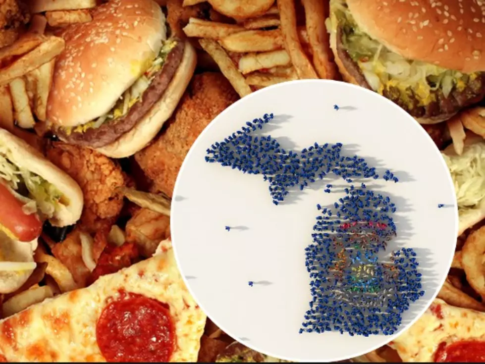 This Is Michigan’s Most Popular Savory Fried Food