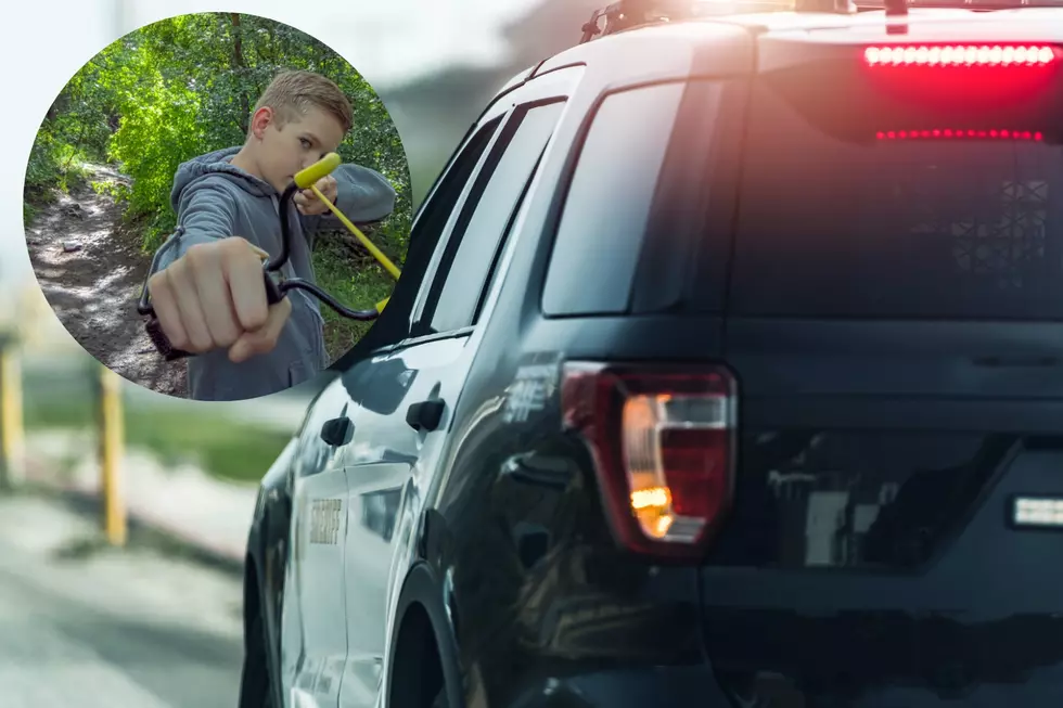 Michigan Boy Uses Slingshot to Save His Sister From Being Kidnapped