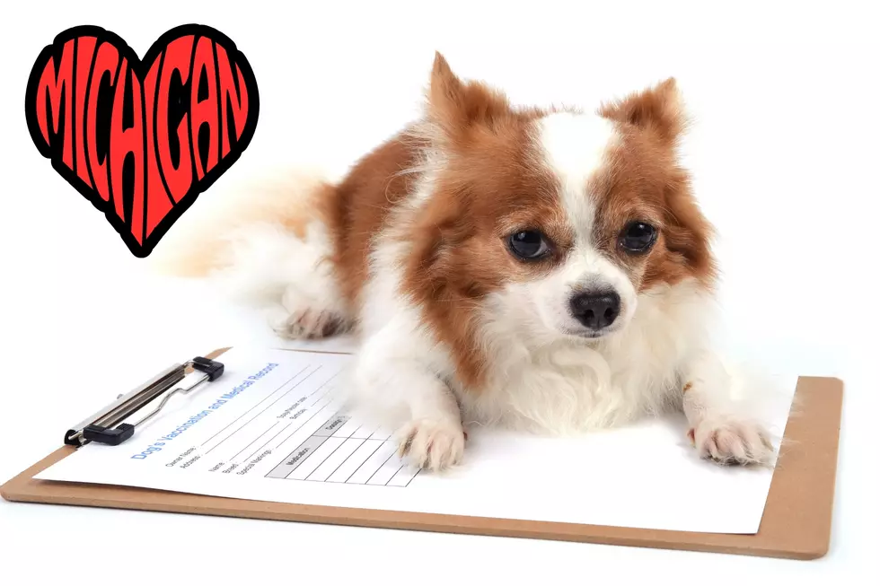 Michigan Retailer Launches New Pharmacy for Pets and Animals