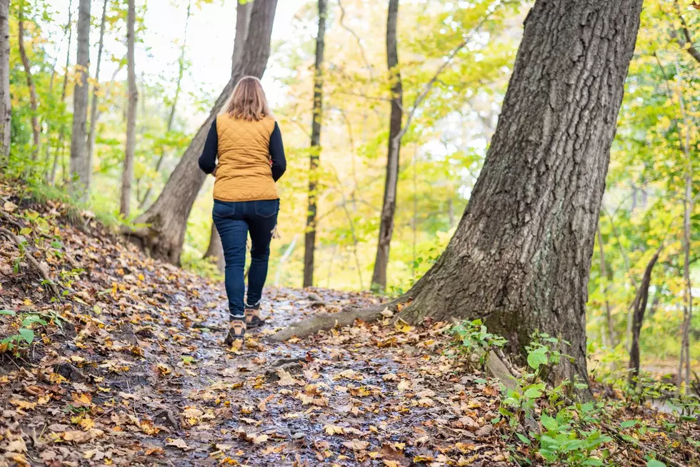 5 Must-Do Fall Activities in Michigan You Can’t Miss