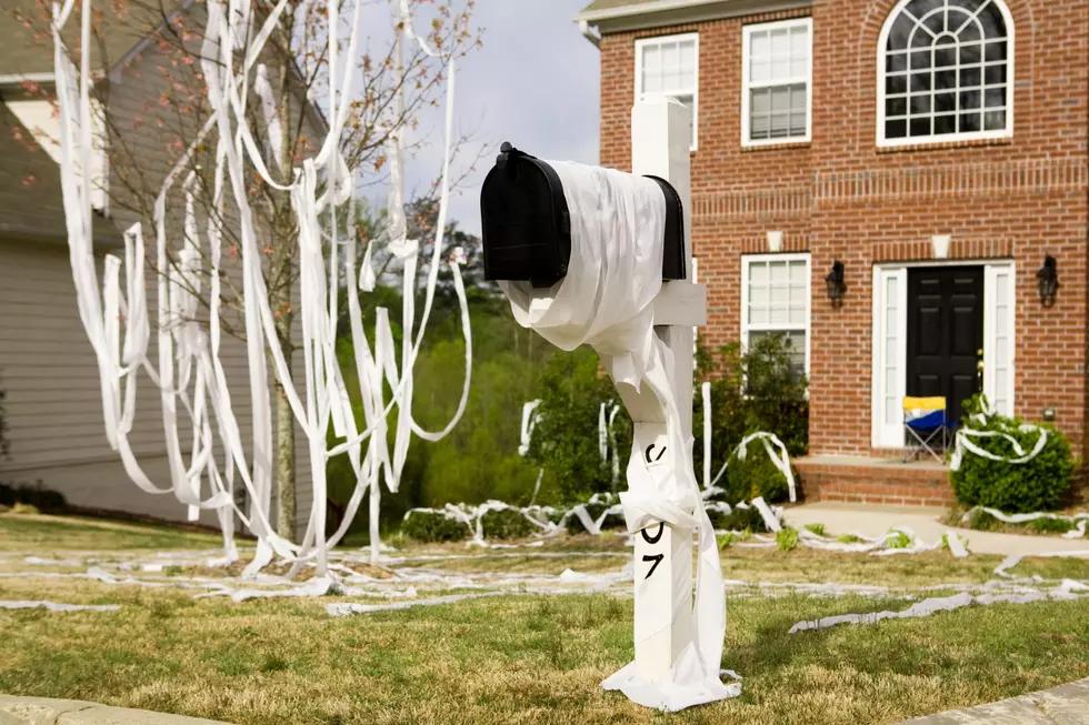 Is Toilet Papering or Egging a Crime in Michigan?